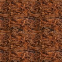 ttCARA-CD4819 WOOD